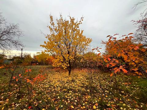 будинок за адресою Балхаська вул.