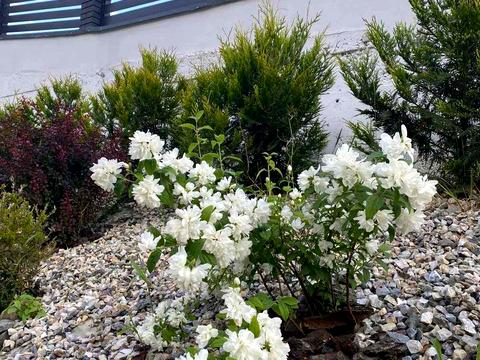 будинок за адресою Озерна, 8Ж