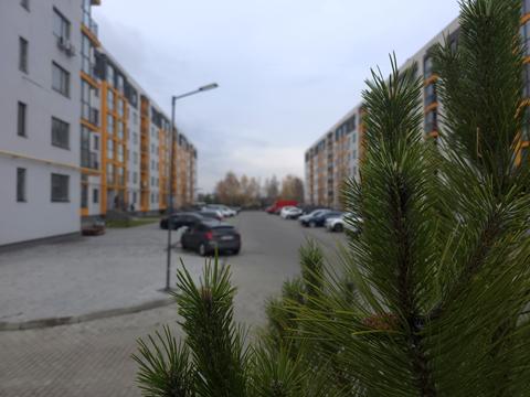 квартира по адресу Радужная ул., 102