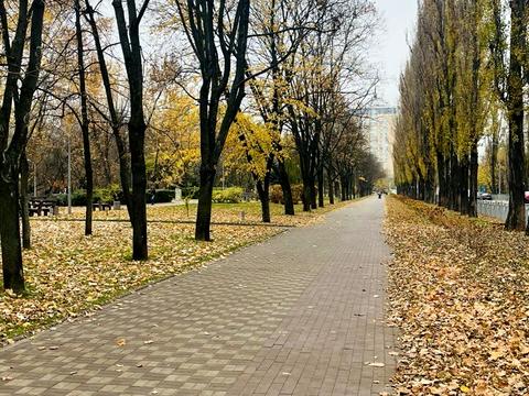 квартира за адресою Русанівська набережна вул., 12