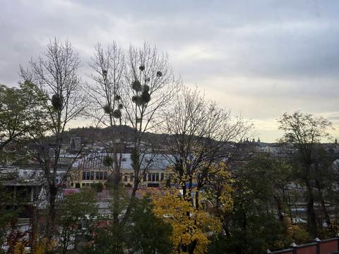 квартира по адресу Клепаровская ул., 15