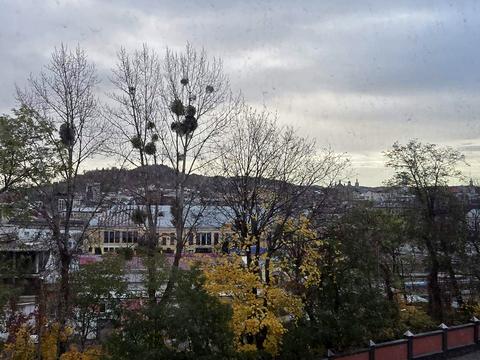 квартира по адресу Клепаровская ул., 15