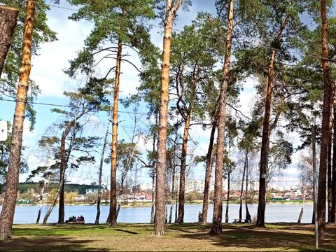 квартира за адресою Академіка Булаховського вул., 42/43