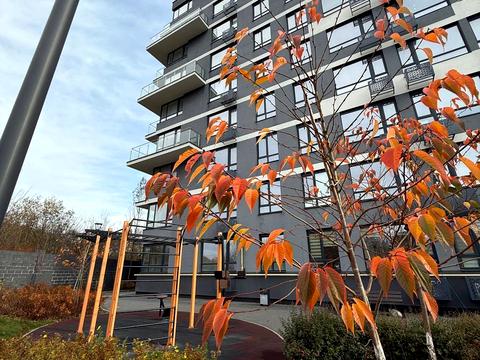 квартира за адресою Топольна вул., 4г