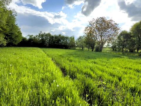 участок по адресу с. Березовка, 
