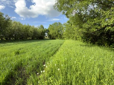участок по адресу с. Березовка, 