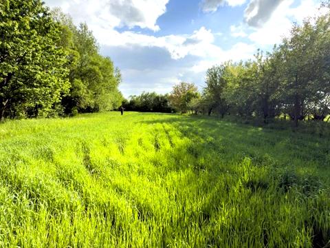 участок по адресу с. Березовка, 