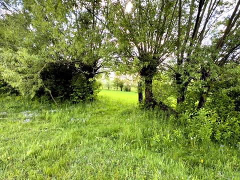 участок по адресу 