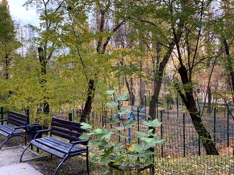 квартира по адресу Голосеевский просп. (40-летия Октября), 114