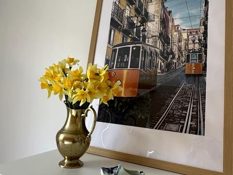 квартира за адресою Оптимістична вул., 3