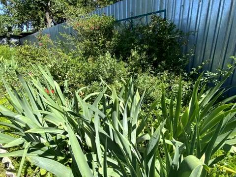 ділянка за адресою 129-а Садова