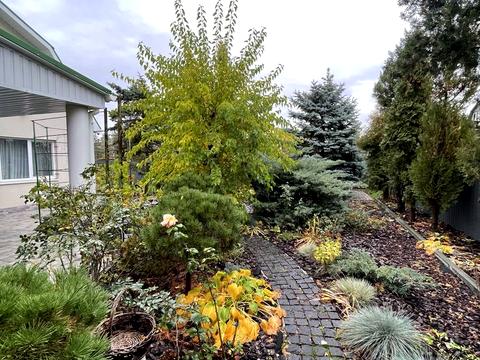 будинок за адресою Ламана