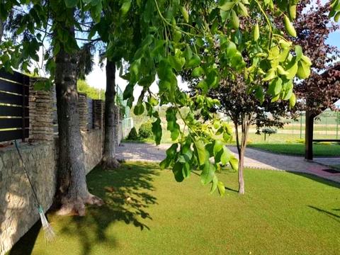 будинок за адресою центральна