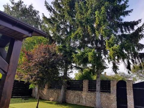 будинок за адресою центральна