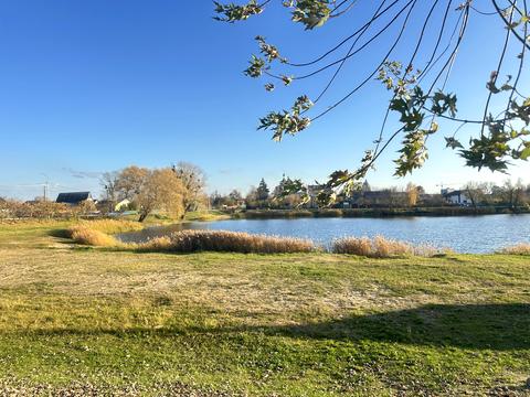 дом по адресу Днепровская ул. (Калинина), 12