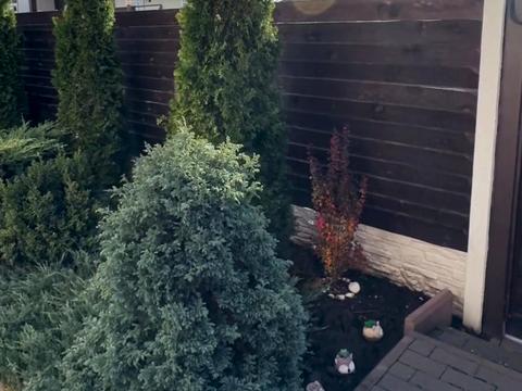 дом по адресу Межева