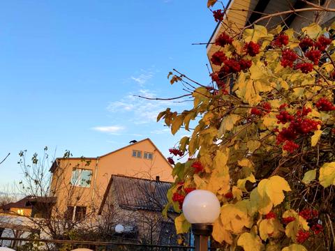 будинок за адресою Чапаєвка