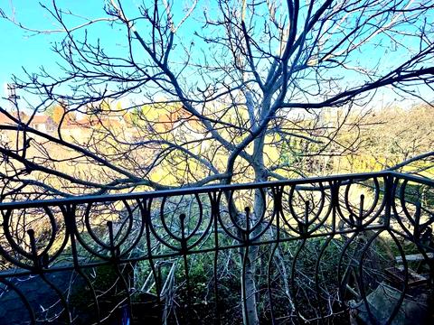 будинок за адресою Троянда