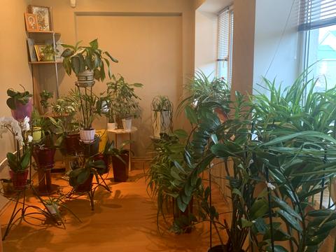 будинок за адресою Ярошенка вул., 88