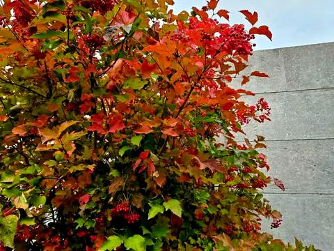 будинок за адресою Пірогова