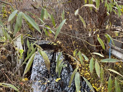 будинок за адресою Воскресенські сади
