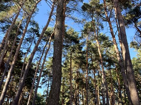 будинок за адресою Тараса Шевченка вул.