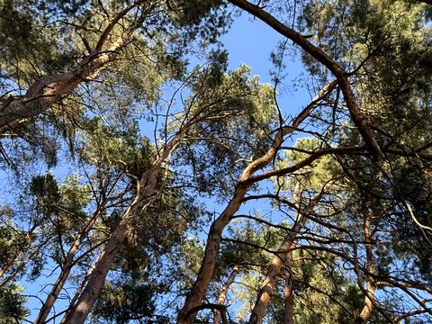 будинок за адресою Тараса Шевченка вул.