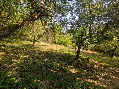 дом по адресу Брюховицкая ул.