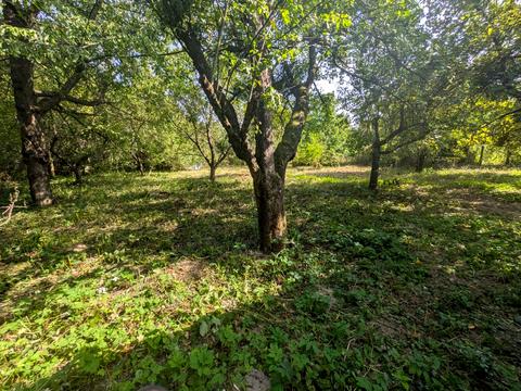 дом по адресу Брюховицкая ул.