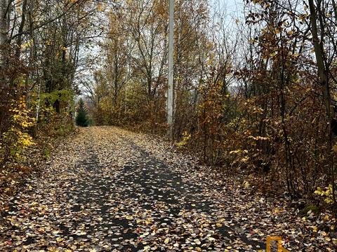 участок по адресу Сахнівська