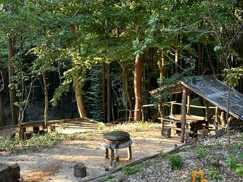 участок по адресу Сахнівська