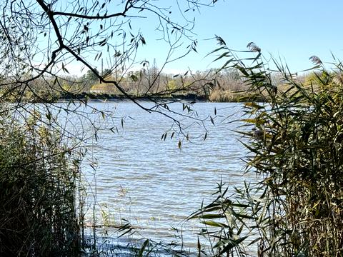 дом по адресу с. Погребы, Лесі Українки, 7