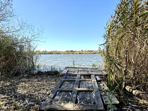 дом по адресу с. Погребы, Лесі Українки, 7