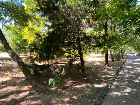 квартира за адресою Князя Ярослава Мудрого просп., 38