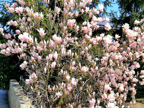 дом по адресу Конча-Заспинская ул. (Генерала Матыкина), 1