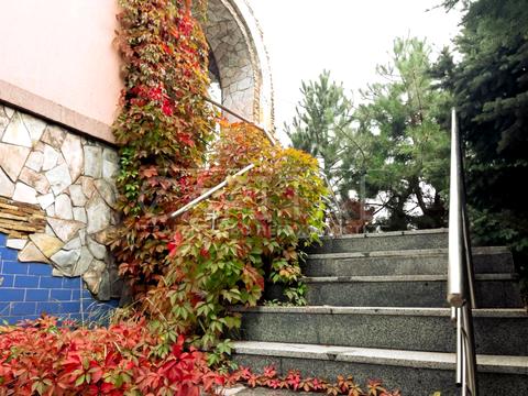 дом по адресу Конча-Заспинская ул. (Генерала Матыкина), 1