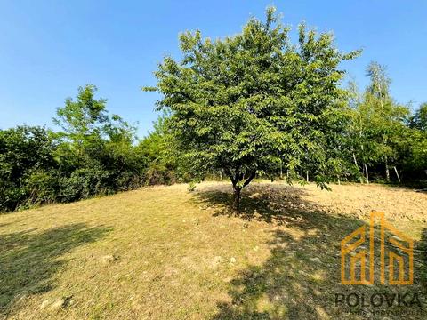 участок по адресу с. Оноковцы, Джерельна