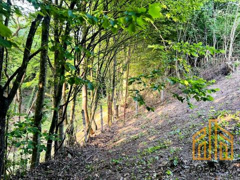 участок по адресу с. Оноковцы, Джерельна