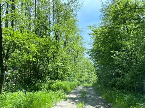 ділянка за адресою 