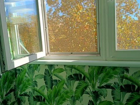 квартира за адресою Одеса, Капітана Кузнєцова вул., 110