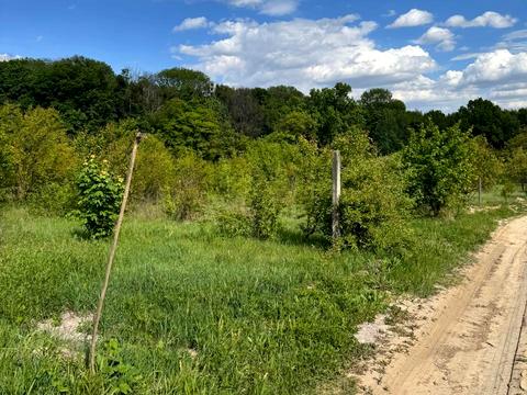 ділянка за адресою Лисогірський пров.