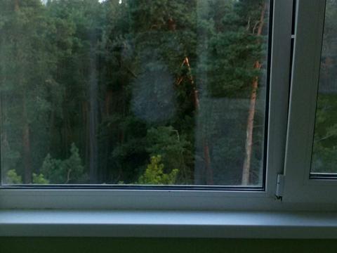 квартира за адресою Миколи Хвильового вул., 3