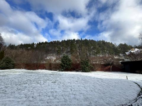 дом по адресу Соснова, 152