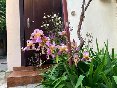 квартира за адресою Мала Арнаутська вул., 13