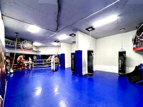 коммерческая по адресу Степана Рудницкого ул. (Вильямса академика), 5-А