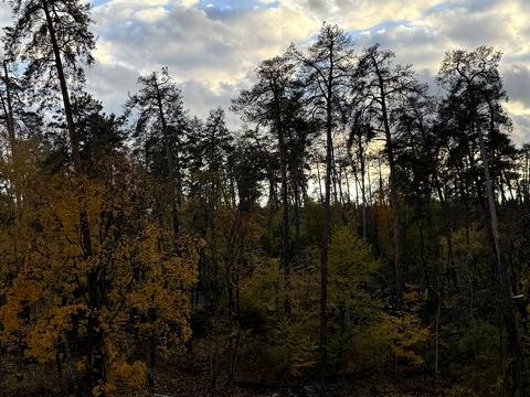 квартира по адресу Берестейский просп. (Победы), 139