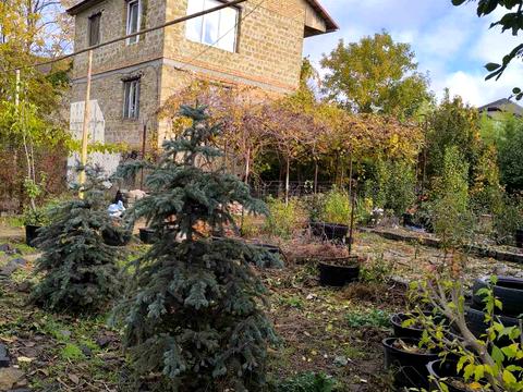 будинок за адресою Абрикосова вул.