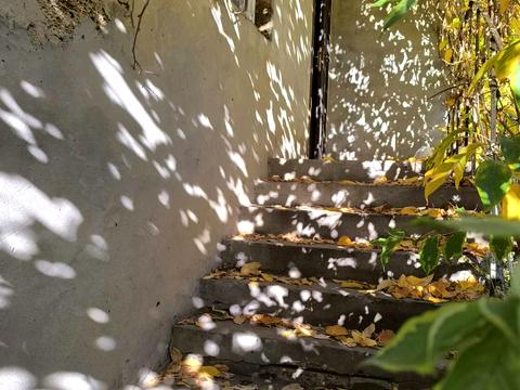 будинок за адресою Абрикосова вул.