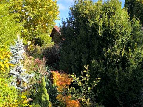 будинок за адресою Абрикосова вул.