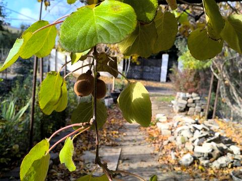 будинок за адресою Абрикосова вул.